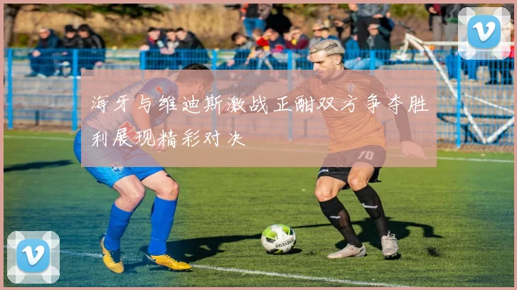 海牙与维迪斯激战正酣双方争夺胜利展现精彩对决