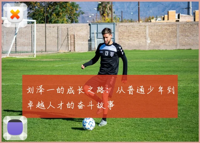 刘泽一的成长之路：从普通少年到卓越人才的奋斗故事