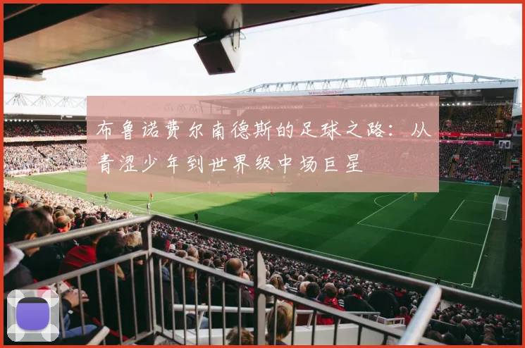 布鲁诺费尔南德斯的足球之路：从青涩少年到世界级中场巨星