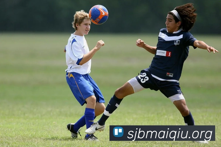 世界杯买球APP 封面图