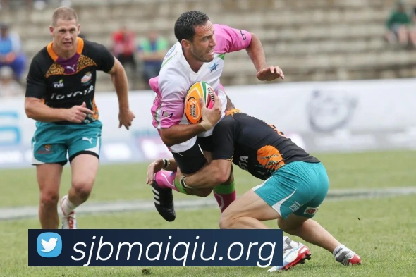 数据防护可视化